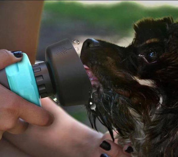 Pet Outdoor Foldable Bottle Dog Travel Water Bottle Dog Water Dispenser